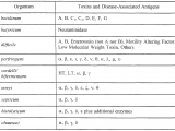 A-1 Storage Wilmington Nc Wo1996012802a9 Vaccine and Antitoxin for Treatment and Prevention