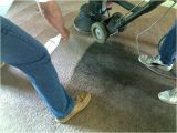 A1 Carpet Cleaning Yuba City Above All Carpet Cleaning 530 671 1616 Yuba City Carpet