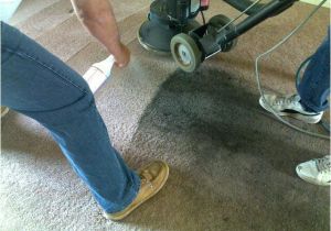 A1 Carpet Cleaning Yuba City Above All Carpet Cleaning 530 671 1616 Yuba City Carpet