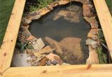 Above Ground Pond for Turtles Our New Diy Above Ground Pond for Bella the Turtle Projects to