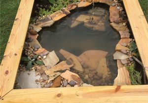 Above Ground Pond for Turtles Our New Diy Above Ground Pond for Bella the Turtle Projects to