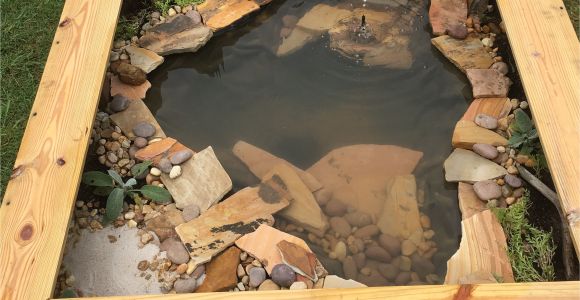 Above Ground Pond for Turtles Our New Diy Above Ground Pond for Bella the Turtle Projects to