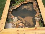 Above Ground Turtle Pond Diy Our New Diy Above Ground Pond for Bella the Turtle Ponds