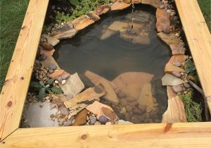 Above Ground Turtle Pond Diy Our New Diy Above Ground Pond for Bella the Turtle Ponds