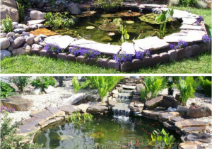 Above Ground Turtle Pond Ideas 15 Awe Inspiring Garden Ponds that You Can Make by Yourself Garden