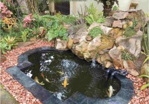 Above Ground Turtle Pond Ideas 20 Koi Pond Ideas to Create A Unique Garden Great Gardens Ideas