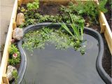 Above Ground Turtle Pond Ideas 2947 Best Garten Images On Pinterest Plants Landscaping and Diy