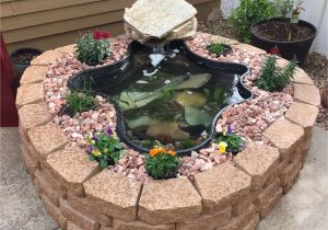 Above Ground Turtle Pond Ideas Erick Storer Erickstorer On Pinterest