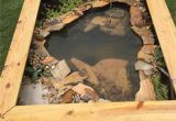 Above Ground Turtle Pond Ideas Our New Diy Above Ground Pond for Bella the Turtle Projects to