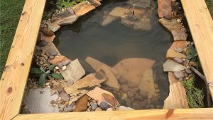 Above Ground Turtle Pond Ideas Our New Diy Above Ground Pond for Bella the Turtle Projects to