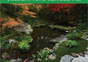 Above Ground Turtle Pond Kit Discount Pond Catalog 2018 by Stallard Studios Publishing issuu