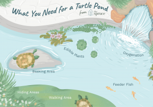 Above Ground Turtle Pond Kit Pet Aquatic Turtles and Outdoor Ponds