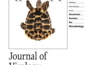 Above Ground Turtle Pond Kit Sulfolobus Spindle Shaped Virus 1 Contains Glycosylated Capsid