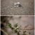 Absolutely Flowers Middletown Ny Absolutely Flowers Middletown Ny All About Flowers On
