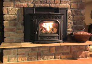 Accentra 52i Pellet Insert Cleaning Enchanting Cape Wood Stove Insert Home Englander Fireplace town