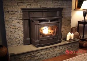 Accentra 52i Pellet Insert for Sale Enchanting Cape Wood Stove Insert Home Englander Fireplace town