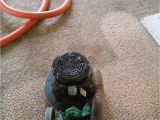 Ace Carpet Cleaning Yuba City Carpet Cleaning Ace