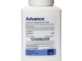 Advance Carpenter Ant Bait 8 Oz Advance Granular Carpenter Ant Control Bait Pest