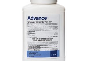 Advance Carpenter Ant Bait 8 Oz Advance Granular Carpenter Ant Control Bait Pest