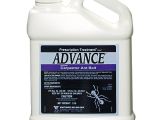 Advance Carpenter Ant Bait Advance Granular Carpenter Ant Bait Ant Killer Ant Bait