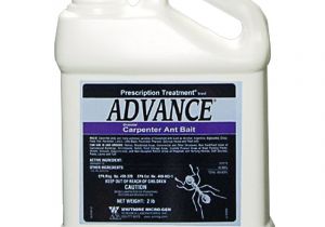 Advance Carpenter Ant Bait Advance Granular Carpenter Ant Bait Ant Killer Ant Bait