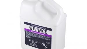 Advance Carpenter Ant Bait Buy Advance Carpenter Ant Bait 2 Lb to Get Rid Of Ants