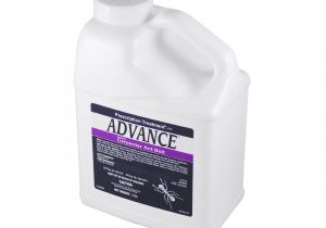 Advance Carpenter Ant Bait Buy Advance Carpenter Ant Bait 2 Lb to Get Rid Of Ants