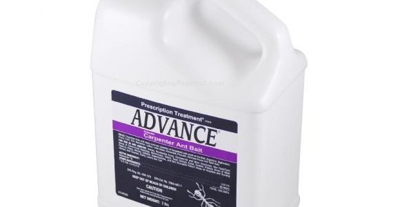 Advance Carpenter Ant Bait Buy Advance Carpenter Ant Bait 2 Lb to Get Rid Of Ants