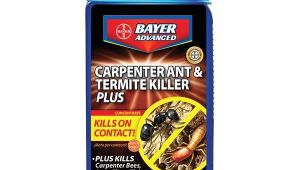 Advance Carpenter Ant Bait Canada 687073003154 Upc Bayer Carpenter Ant Termite Killer