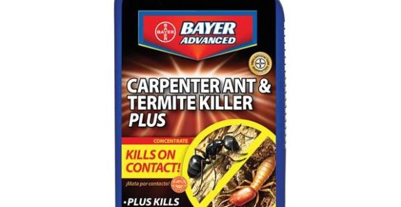 Advance Carpenter Ant Bait Canada 687073003154 Upc Bayer Carpenter Ant Termite Killer