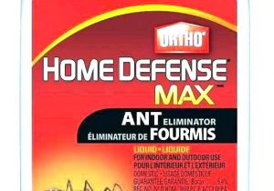 Advance Carpenter Ant Bait Canada Carpenter Ant Bait Home Depot Termite Spray Home Depot