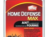 Advance Carpenter Ant Bait Canada Maxforce Ant Bait Carpenter Ant Bait Home Depot Best