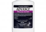 Advance Carpenter Ant Bait Home Depot Advance Carpenter Ant Bait Free Shipping Domyown Com