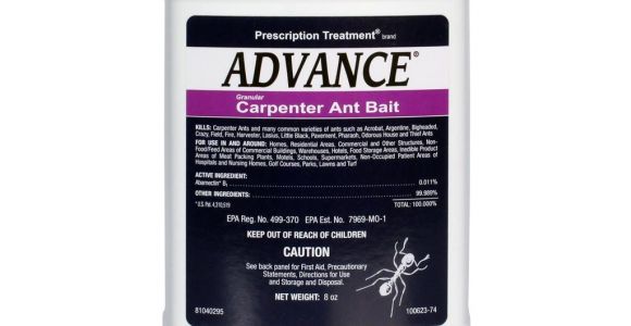 Advance Carpenter Ant Bait Home Depot Advance Carpenter Ant Bait Free Shipping Domyown Com