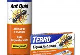 Advance Carpenter Ant Bait Home Depot Termite Bait Stations Home Depot Termites Amazon Com Terro T600