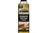 Advance Carpenter Ant Bait Home Depot Termites Insect Pest Control Garden Center the Home Depot