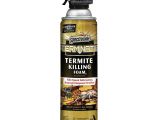 Advance Carpenter Ant Bait Home Depot Termites Insect Pest Control Garden Center the Home Depot