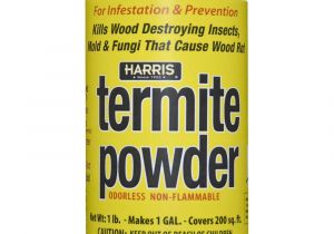 Advance Carpenter Ant Bait Home Depot Termites Insect Pest Control Garden Center the Home Depot