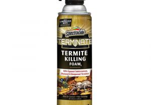 Advance Carpenter Ant Bait Home Depot Termites Insect Pest Control Garden Center the Home Depot