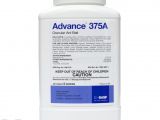 Advance Carpenter Ant Bait Label Advance 375a Ant Bait Carpenter Ant Bait Free Shipping