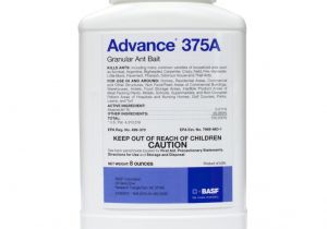 Advance Carpenter Ant Bait Label Advance 375a Ant Bait Carpenter Ant Bait Free Shipping