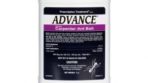 Advance Carpenter Ant Bait Label Advance Carpenter Ant Bait Free Shipping Domyown Com