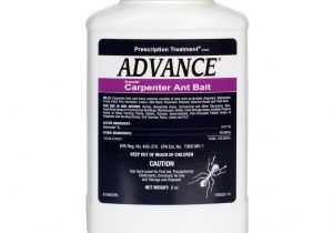 Advance Carpenter Ant Bait Label Advance Carpenter Ant Bait Free Shipping Domyown Com