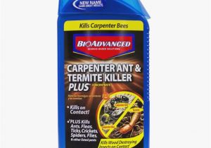Advance Carpenter Ant Bait Lowes 15 Things You Should Know Label Maker Ideas Information