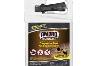 Advance Carpenter Ant Bait Lowes Shop Amdro Quick Kill 1 Gallon Carpenter Bee Ant and