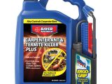 Advance Carpenter Ant Bait Lowes Shop Bayer Advanced 1 3 Gal Carpenter Ant Termite Klr at