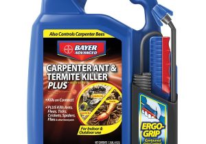 Advance Carpenter Ant Bait Lowes Shop Bayer Advanced 1 3 Gal Carpenter Ant Termite Klr at