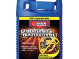 Advance Carpenter Ant Bait Lowes Shop Bayer Advanced 1 Gallon Carpenter Ant Termite