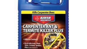 Advance Carpenter Ant Bait Lowes Shop Bayer Advanced 1 Gallon Carpenter Ant Termite