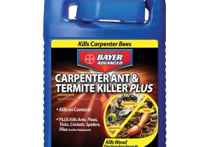 Advance Carpenter Ant Bait Lowes Shop Bayer Advanced 1 Gallon Carpenter Ant Termite